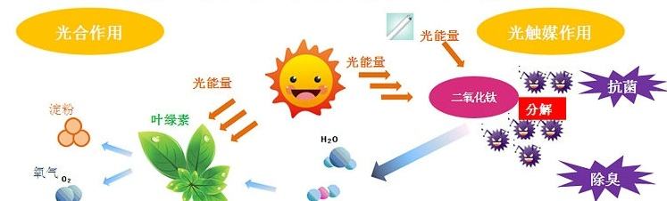 影响光触媒除甲醛的产品及价格因素