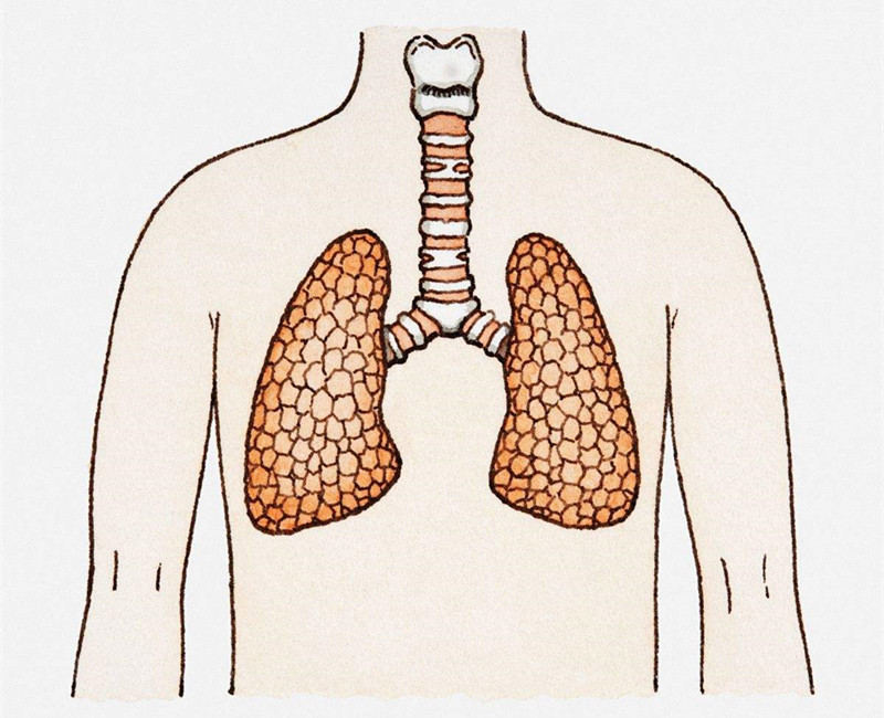 如何进行甲醛治理？没有治理过的空气就像虐待肺
