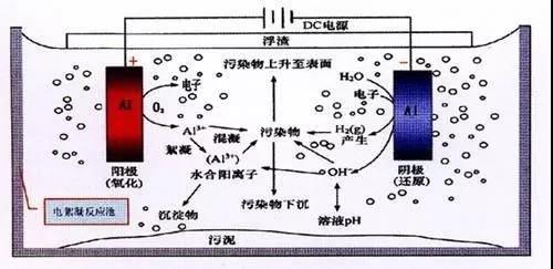 我买了一个甲醛检测仪，吹口气后发现原来我才是“地表最强”污染源！