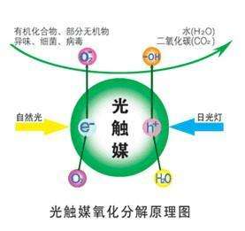 您知道或者听说过光触媒吗？