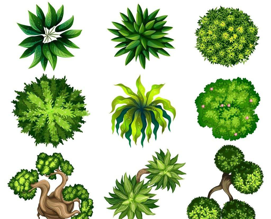 可以净化室内空气的植物，这二十种您需要好好了解一下！