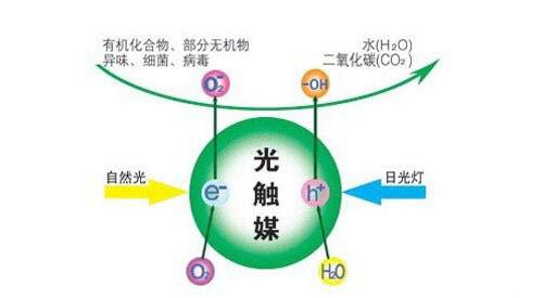 光触媒产品哪个品牌比较好