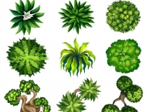 可以净化室内空气的植物，这二十种您需要好好了解一下！
