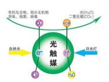 光触媒产品哪个品牌比较好