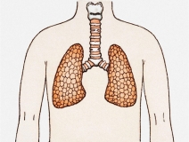 如何进行甲醛治理？没有治理过的空气就像虐待肺