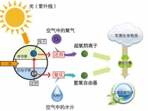 什么甲醛治理办法效果好持续时间长？
