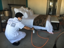 如何使用光触媒除甲醛，以及它的原理是什么
