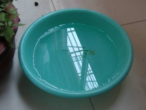 装修完仅靠两盆冷水就能除甲醛？这个说法连网友都出来辟谣！大家别再相信了！