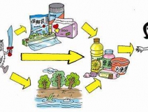 食品中有塑化剂吗？这些食品中含有大量塑化剂，食用时一定要注意！