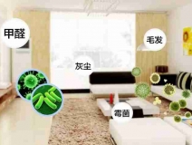 甲醛检测的项目主要有哪些