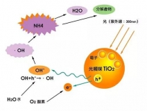 现在光触媒的价格是多少？