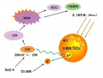 现在光触媒的价格是多少？