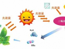 家中甲醛超标，什么才是甲醛治理的正确姿势？
