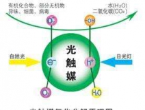 您知道或者听说过光触媒吗？