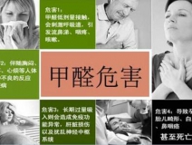 哪些绿植可以除甲醛？