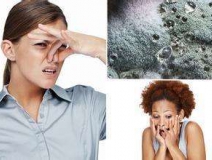 家里有异味怎么办？科学除味、治理甲醛就对了！