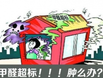 除甲醛的最好办法 别在甲醛房子里逞强