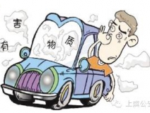 车内污染超标造成损失可以索赔