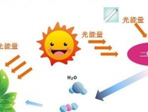 无光触媒和光触媒有什么区别？