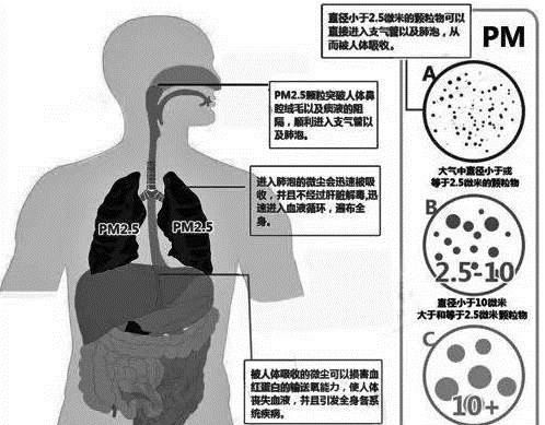 绝不是危言耸听 近十年雾霾致北京肺癌暴增43%