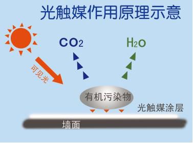 创绿家光触媒