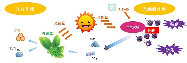光触媒去除房间甲醛争议很大？