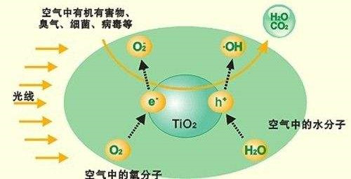 除甲醛公司与您分享窗帘中甲醛的秘密